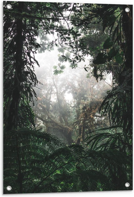 Tuinposter – Tropische Planten - 60x90cm Foto op Tuinposter  (wanddecoratie voor buiten en binnen)