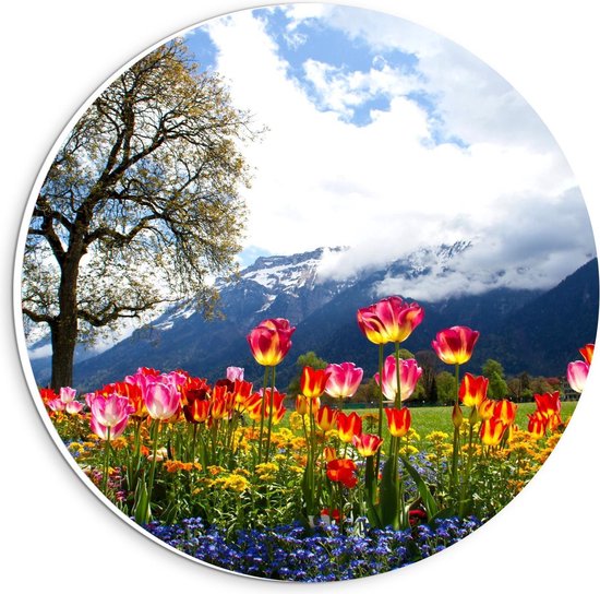 Forex Wall Circle - Magical Tulip Field at Big Tree and Montagnes - 20x20cm Photo sur Wall Circle (avec système d'accrochage)
