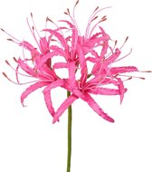 Viv! Home Luxuries Nerine - zijden bloem - donker roze - groot - 90cm - topkwaliteit