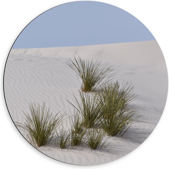 Dibond Wandcirkel - Grasplanten in de Duinen - 60x60cm Foto op Aluminium Wandcirkel (met ophangsysteem)