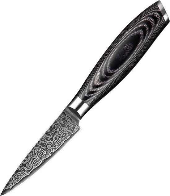 Damascus Schilmes (67 lagen) | Xinzuo B20 | Luxe & Professioneel | Vlijmscherp Damascus staal | Schilmes 18 cm met lemmet van 7 cm | met Pakka-houten handvat