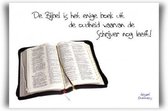 Prentbriefkaart de bijbel is het enige b - Bijbel - Christelijk - Majestic Ally - 6 stuks