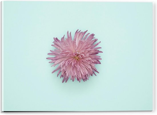 Acrylglas - Roze Bloem met Groene Achtergrond - 40x30cm Foto op Acrylglas (Met Ophangsysteem)