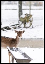 Poster Oh Deer - 30x40 cm Met Fotolijst - Dieren Poster - WALLLL
