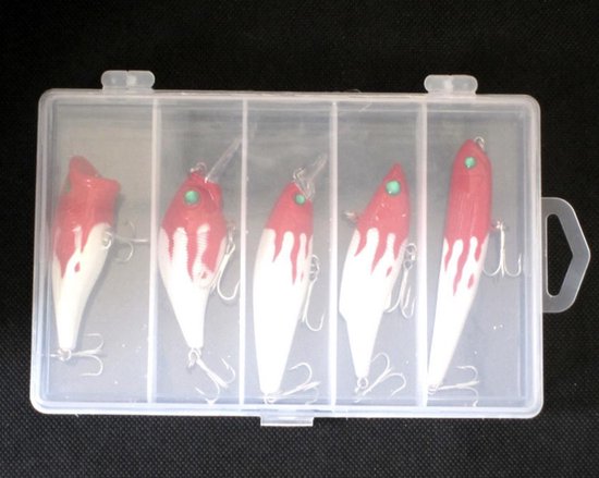 Kunstaas - Kunstaas set - Visset - 5 stukken - Vis set - Roodwit van Smartmaggiore — afbeelding 5