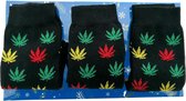 Wiet Sokken Set in Geschenkverpakking - 3 paar heren 40-46 sokken - Wietsokken - Cannabis Sokken - Weed socks - Cadeauset mannen - Sokken Heren zwart - Wiet Accesoires - Marijuana - Geschenks