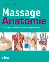 Massage-Anatomie