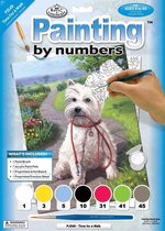Schilderen op nummer - Paint by numbers - Dieren - Hond wil gaan wandelen 22x30cm - Schilderen op nummer volwassenen - Paint by numbers volwassenen