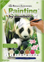 Schilderen op nummer - Paint by numbers - Dieren - Panda's 22x30cm - Schilderen op nummer volwassenen - Paint by numbers volwassenen