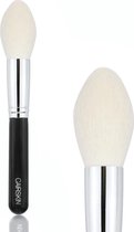 CAIRSKIN Large Face Brush for Bronzer & Setting Powders - Bronzing Application - Natural Finish - Make-up Kwast - Luxe Exclusive Bronzing Powder Brush - CS134 New Edition