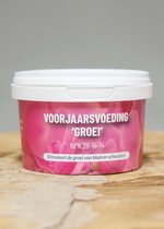 Plantenvoeding orchidee voorjaar