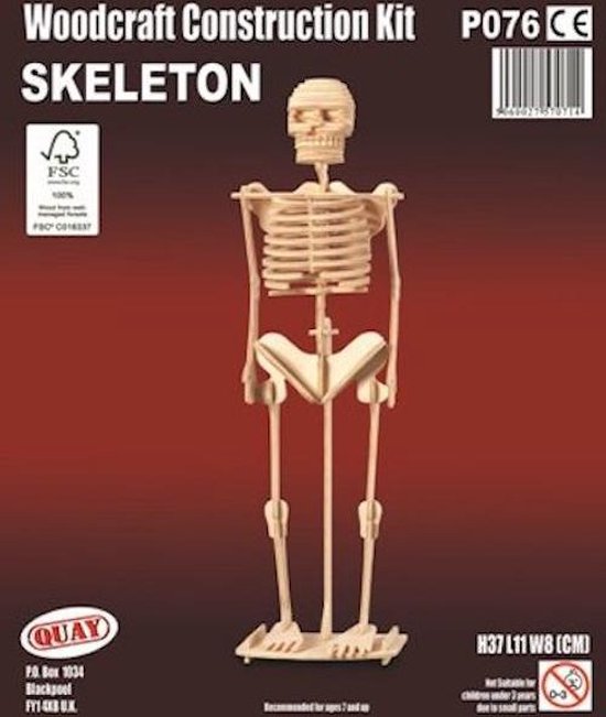 Bouwpakket 3D Puzzel Skelet - hout | bol.com