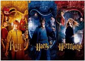 Puzzle Harry Potter : Ron Harry Hermione 1000 pièces
