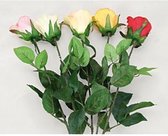 OSMA - Boeket van 5 rozen - 68cm lang - 5 kleuren