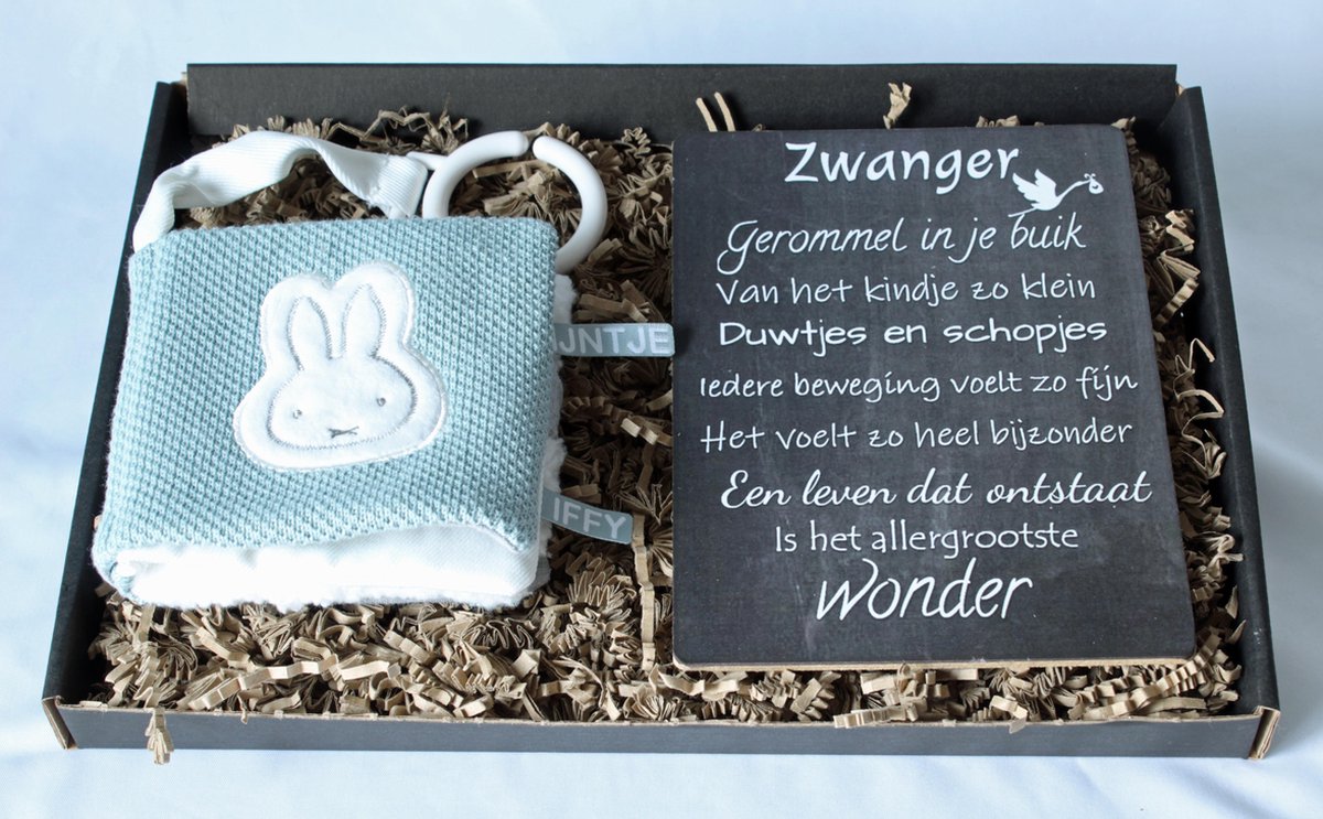 Goedkoopste Brievenbus cadeau Nijntje green, buggyboekje, tekstbord zwangerschap, nijntje tiamo knit green, cadeau baby
