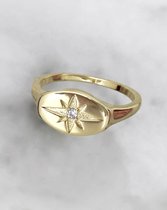 Stardust - BLISS Signet Ring in 14 karaat Goud - Maat L