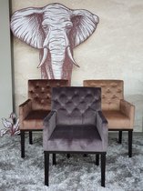 Black Elephant - Royal Queen - Eetkamerstoel - Horeca - Grijs - Velvet