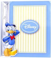 fotokader donald duck - glas