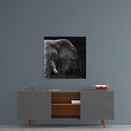 Glas Peinture - Elephant - Uv Imprimer Peinture en Glas trempé 80 × 80 cm, 4 mm