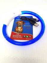 hondenhalsband mini / puppy LED licht, micro usb oplaadbaar (blauw)