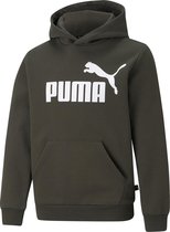 Puma Puma Essentials Trui - Unisex - donker groen/wit