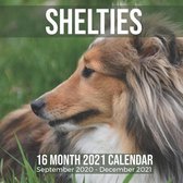 Shelties 16 Month 2021 Calendar September 2020-December 2021
