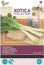 Buzzy® Xotica Palmboom Sla - Aspergesla Zaden - Frisse en Knapperige Bladgroente voor Salades en Sandwiches