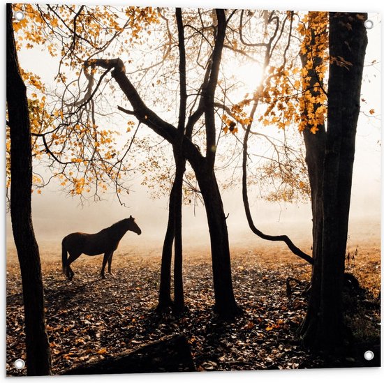 Tuinposter – Paard in mistig Herfstbos - 80x80cm Foto op Tuinposter  (wanddecoratie voor buiten en binnen)