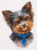 Yorkshire terrier Aida Borduurpakket Panna