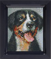 Pixel hobby geschenkdoos Zwiterse sennenhond
