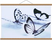 Schoolplaat – Doorzichtige Vlinders - 90x60cm Foto op Textielposter (Wanddecoratie op Schoolplaat)
