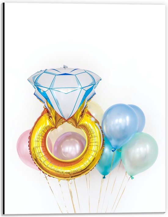 Dibond - Ballonnen met Ring Ballonnen - 30x40cm Foto op Aluminium (Met Ophangsysteem)