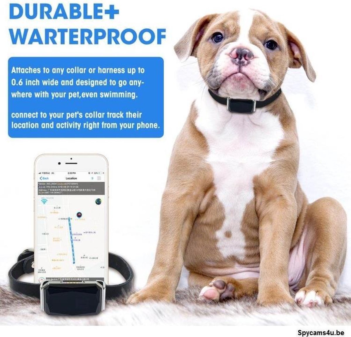 GPS Tracker Pet chien / chat sans abonnement / fonctionne sur internet  depuis la carte... | bol