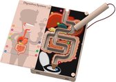 KidzLabs 4M : TESTEUR DE STRESS / SYSTÈME DE DIGESTION, instructions détaillées incluses, fonctionne avec une pile AAA 1x1.5V (non incluse), dans la boîte, 8+