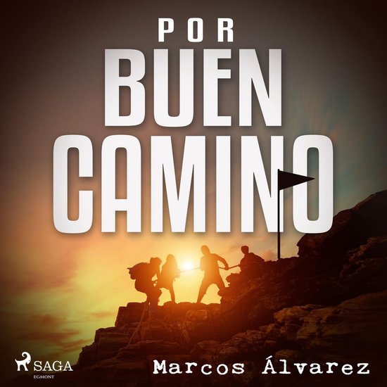 Por buen camino - cover