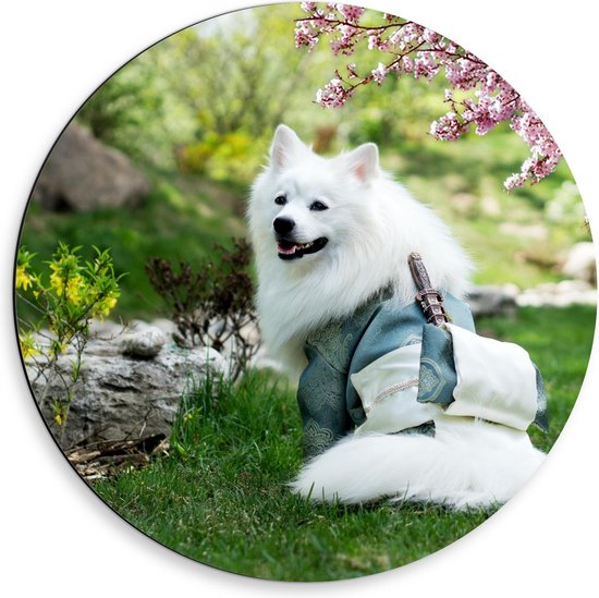 Dibond Wandcirkel - Witte Hond in Grasveld met Bloemen - 50x50cm Foto op Aluminium Wandcirkel (met ophangsysteem)