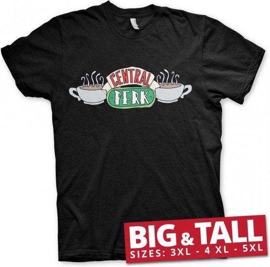 Friends - T-shirt CENTRAL PERK - Gris chiné - - nu