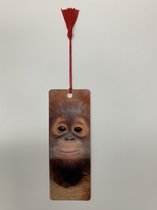 3D boekenlegger aap