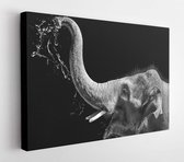 Modern oil painting of elephant happy, artist collection of animal painting for decoration and interior, canvas art, abstract elephant on black background, - Modern Art Canvas - Ho