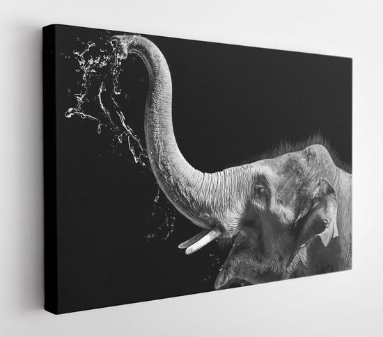 Peinture à l'huile moderne d'éléphant heureux, collection d'artiste de  peinture... | bol