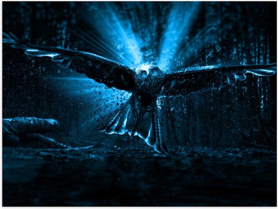 Poster – Vliegende Uil bij Blauwkleurig Licht - 40x30cm Foto op Posterpapier