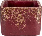 gold Bloempot voor Binnen - Plantenbak - Plantenpot - ⌀12,5x12,5xh9cm - Vierkant Cement - Mettalic Border Aubergine