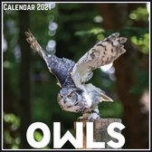 Owls Calendar 2021