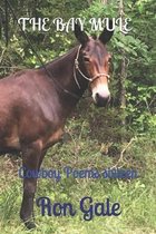 The Bay Mule