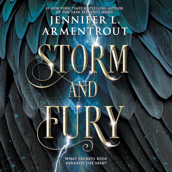 Storm and Fury - cover