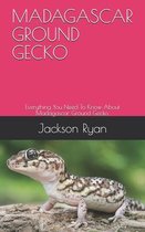 Madagascar Ground Gecko