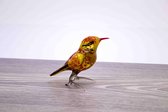 Oranje Vogel Glascadeau, luxe cadeau van glas 10x10 cm