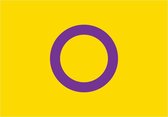 Vlag - Sticker - intersekse vlag - Regenboog - Gay - LGBT - interseksevlag