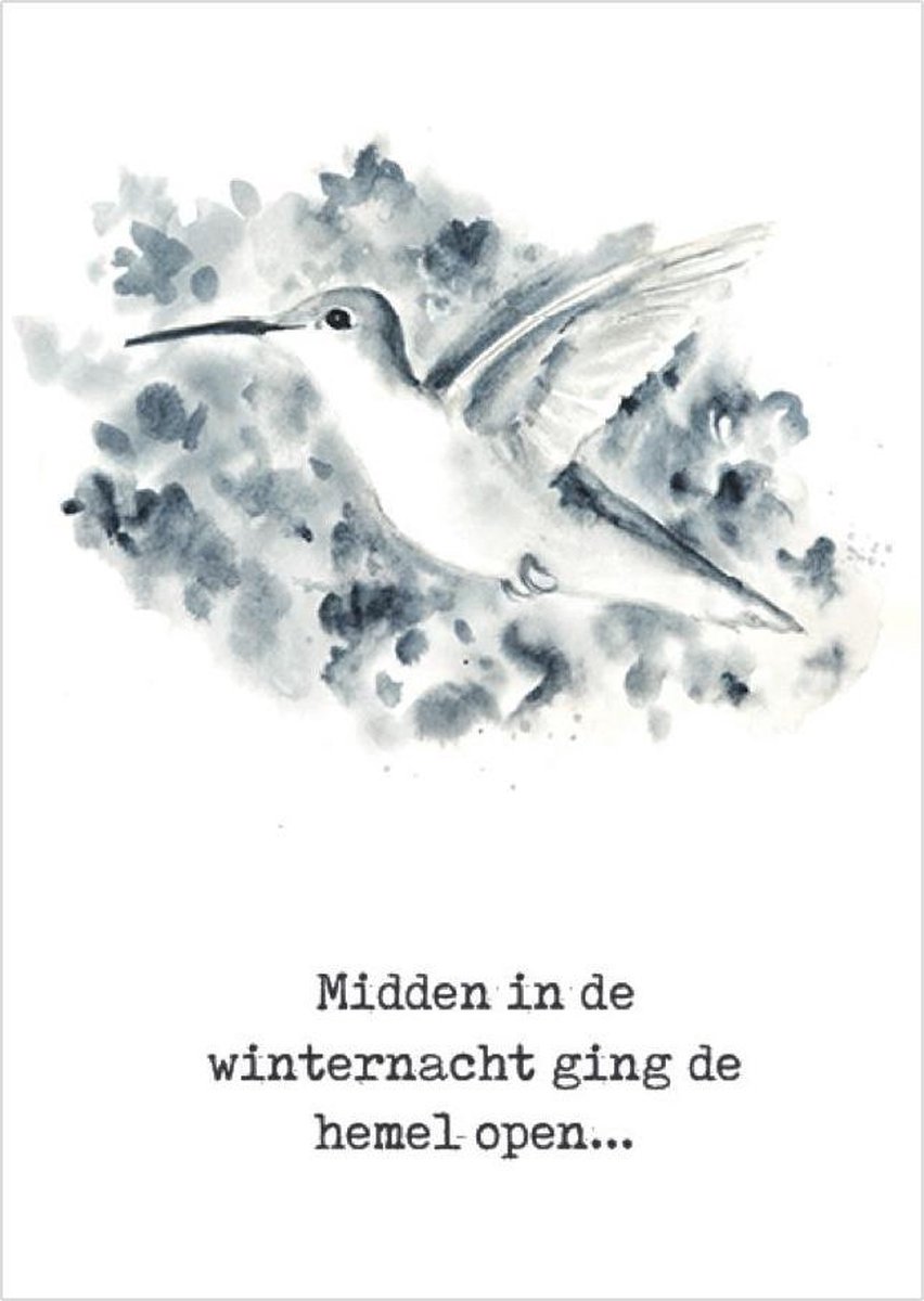 Christelijke kerstkaarten | Voordeelpakket | 10 kerstkaarten met enveloppen | Midden in de winternacht vogel | MajesticAlly