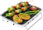 Wegwerpbarbecue Rayen (30,5 x 23,7 cm)